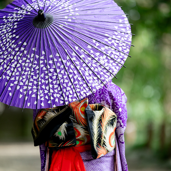 神社にて七五三用の和傘を広げ持つ、紫色の着物を着た女の子の後ろ姿