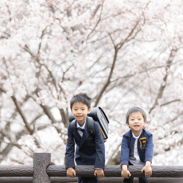 桜の花を背景に、小学生になりランドセルを背負ったお兄ちゃんと弟が手摺から身を乗り出している