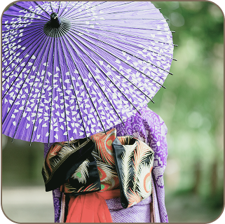 神社にて七五三用の和傘を持つ着物を着た後ろ姿の女の子
