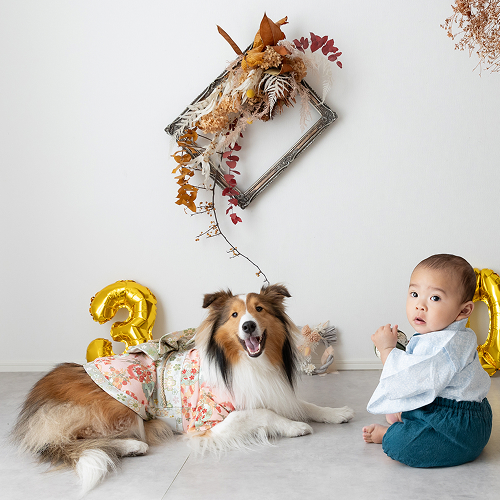 スタジオで着物を着た愛犬と一緒にお祝い撮影をする袴姿のお座りした赤ちゃん